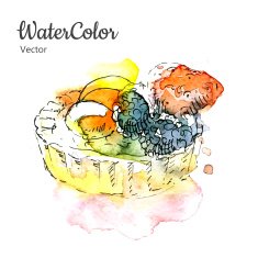 Vector hand painting watercolor dessert Eps10 N6