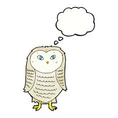 cartoon owl with thought bubble N90