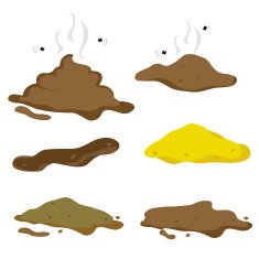Poop Fecal Cartoon Vector