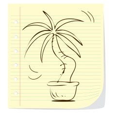 Plant In Pot N3