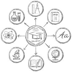 Vector Sketch Education Infographic Template