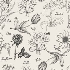 Hand drawing seamless patern of flowers Iris calla lily tulip