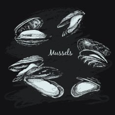 Mussels N3