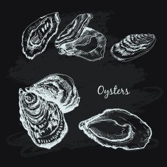 oysters N3