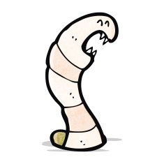 Cartoon Worm N67
