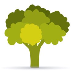 Vegetables design N3