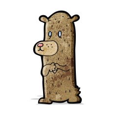 Cartoon Bear N170