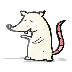 Cartoon Rat N48