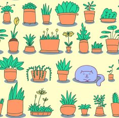 Potted plants and a sleeping cat