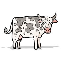 Cartoon Cow N136
