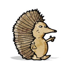 Cartoon Hedgehog N58