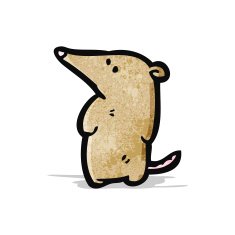 Cartoon Shrew N12