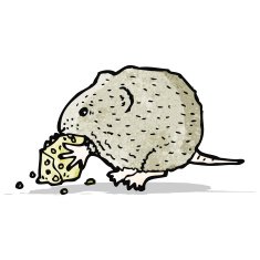 mouse and cheese illustration N4
