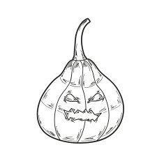 pumpkin illustration vector N3