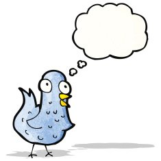 Little Bird Cartoon N8