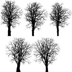set of different winter trees N2