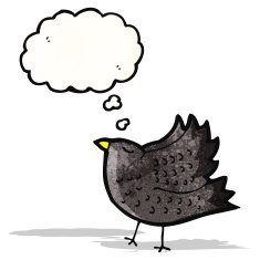 Cartoon Crow N53