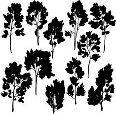 set of different trees with leaves