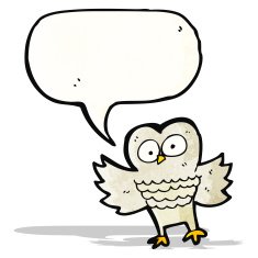 Cartoon Owl N232