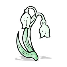 cartoon snowdrop N10