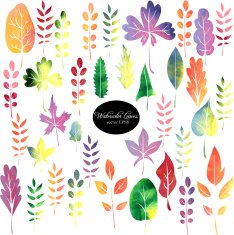 set of silhouettes by leaves in watercolor