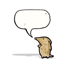 Cartoon Shrew N15