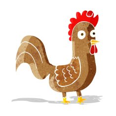Cartoon Rooster N30