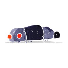 cartoon insect N17