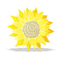 Cartoon Sunflower N50