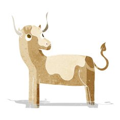 Cartoon Cow N141