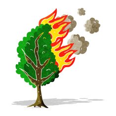 cartoon burning tree N42