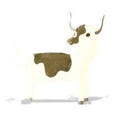 Cartoon Cow N143