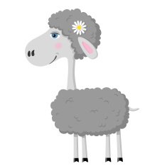 Little Sheep N6