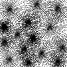 abstract black and white line pattern background N3