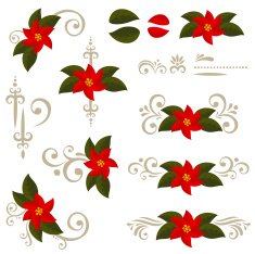 Poinsettia design elements