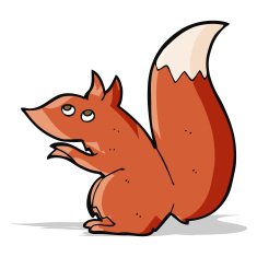 cartoon red squirrel N5