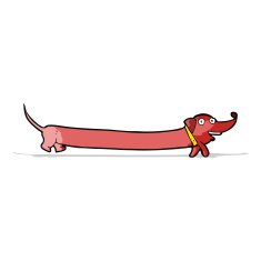 Cartoon Dachshund N18