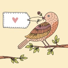 Bird N18