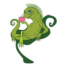 Lizard N6
