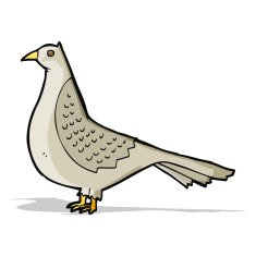 Cartoon Bird N574