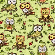 Flowers and owls