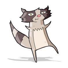 Cartoon Raccoon N45