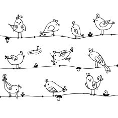 Set of cute birds in vector