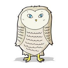 Cartoon Owl N237