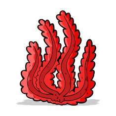 Cartoon Seaweed N92