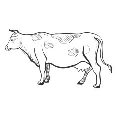 doodle cow N5