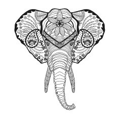 Zentangle stylized elphant head Sketch for tattoo or t-shirt