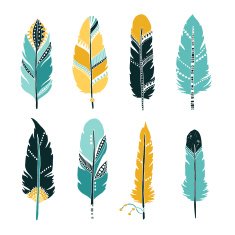 Hand drawn set of feathers N3
