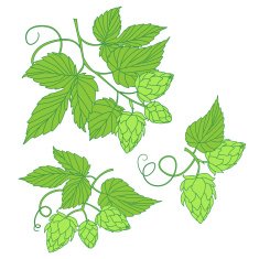 Hops vector illustration icon or logo