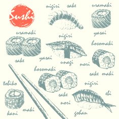 Sushi sushimi and chopsticks sketch set